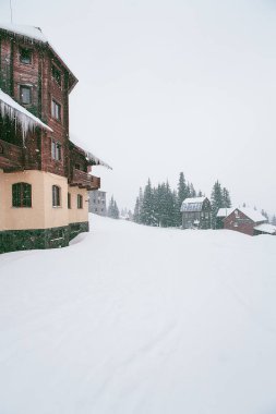 kar ve evler kış orman köknar ağaçları ile kaplı