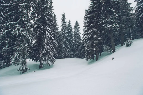 Winter Bergen Met Besneeuwde Helling Landschap — Stockfoto