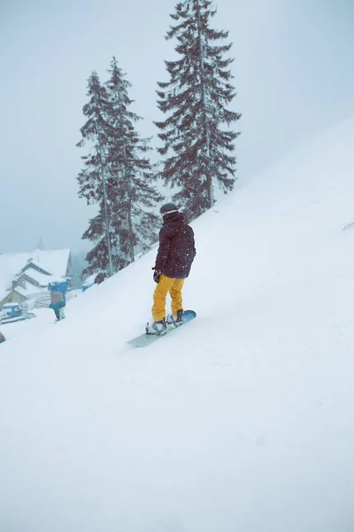 Genç Adam Karlı Dağlarda Snowboard — Stok fotoğraf