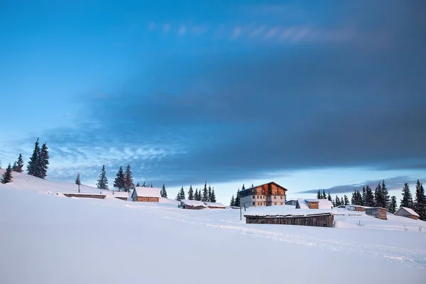 Zimní Les Jedlí Pokryté Sněhem Domy — Stock fotografie
