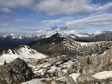 Gündüz vakti ormanla kaplı karlı dağların resimli görüntüsü 