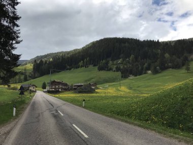 Ormanla kaplı dağlardaki boş yol manzarası. 