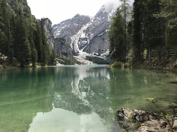 Vista Pitoresca Lago Entre Montanhas Cobertas Floresta Durante Dia — Fotografia de Stock