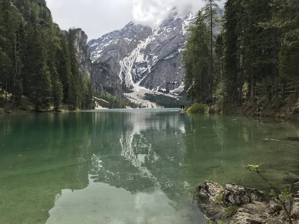 Vista Pitoresca Lago Entre Montanhas Cobertas Floresta Durante Dia — Fotografia de Stock