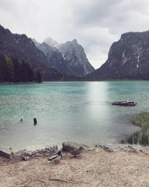 Vue Pittoresque Sur Lac Parmi Les Montagnes Couvertes Forêt Pendant — Photo