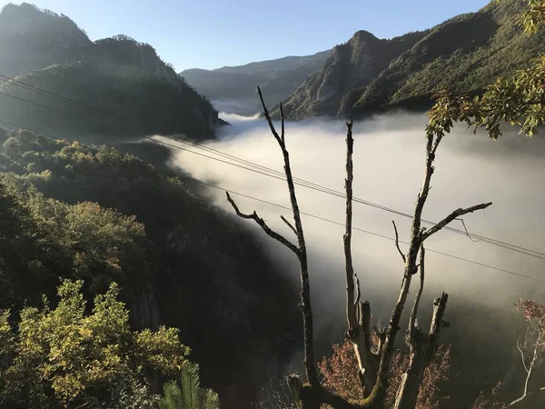 Живописный Вид Горы Покрытые Лесом Туманом Дневное Время — стоковое фото
