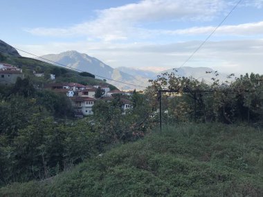 Gündüz vakti ormanla kaplı dağların kırsal manzarası. 