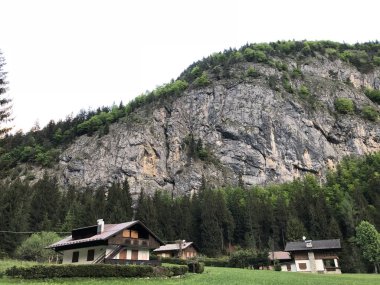 Gündüz vakti ormanla kaplı dağların kırsal manzarası. 