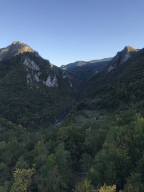 gündüz vakti ormanla kaplı dağların resimsel görüntüsü 