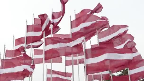 Muchas banderas letonas ondeando con viento fuerte — Vídeo de stock