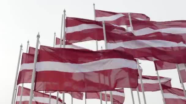 Muchas banderas letonas ondeando con viento fuerte — Vídeo de stock