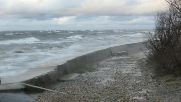 Grandes olas marinas durante la tormenta — Vídeo de stock