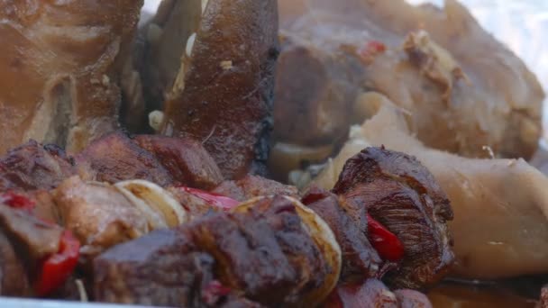 Close up of tasty meat skewer — Stock Video