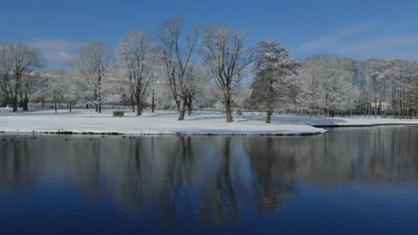 Reflejo de árboles nevados en parque urbano — Vídeo de stock