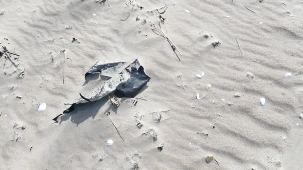 Kunststof folie vervuiling in strand zand — Stockvideo