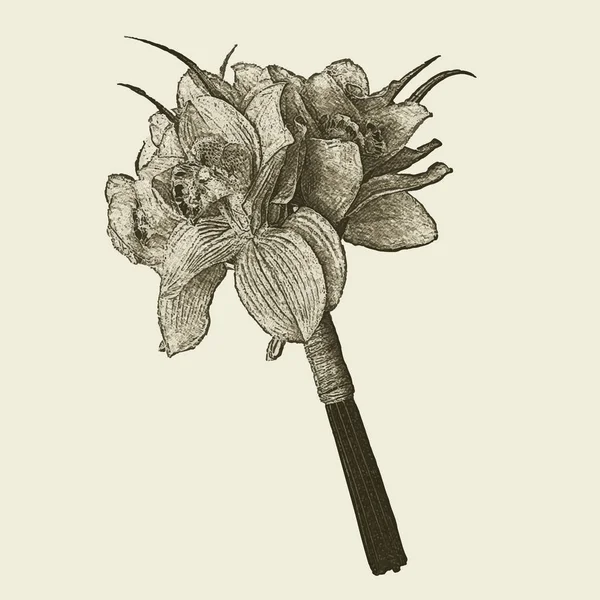 Mão desenhada buquê de flores retro — Vetor de Stock