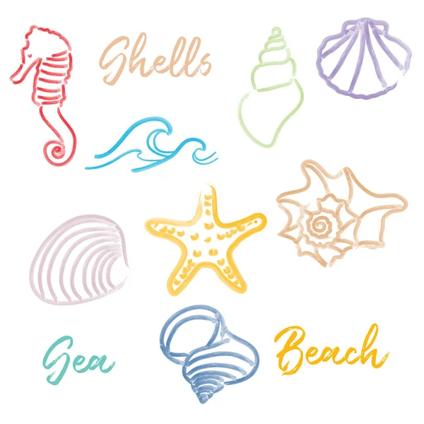 Hand drawn doodle watercolor Seashells and Sea elements set — Stock Vector