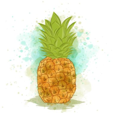 İştah açıcı suluboya ananas