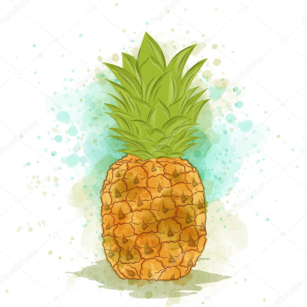 Appetizing watercolor pineapple