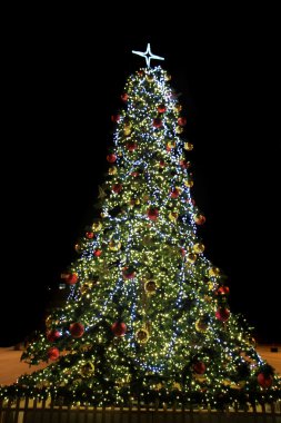 Ostrava şehir ağacında