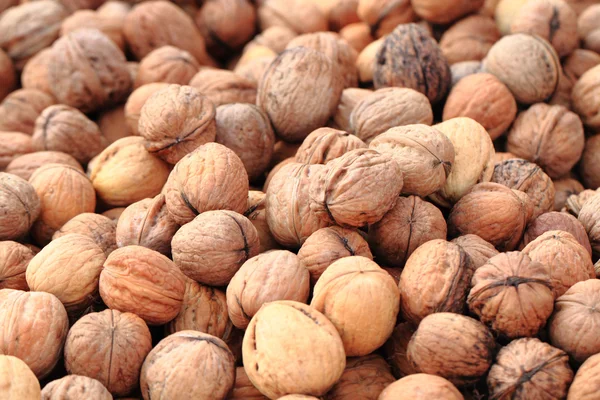 wallnuts güzel arka plan olarak