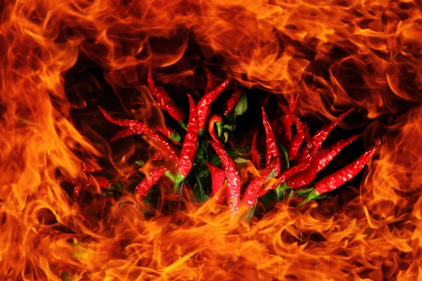 Fire and chili background — Stock Photo, Image