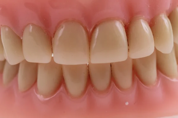 Detalle dientes de plástico —  Fotos de Stock
