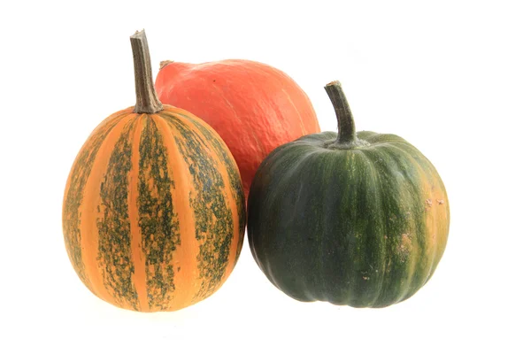 Three pumpkins isolated Royalty Free Stock Images