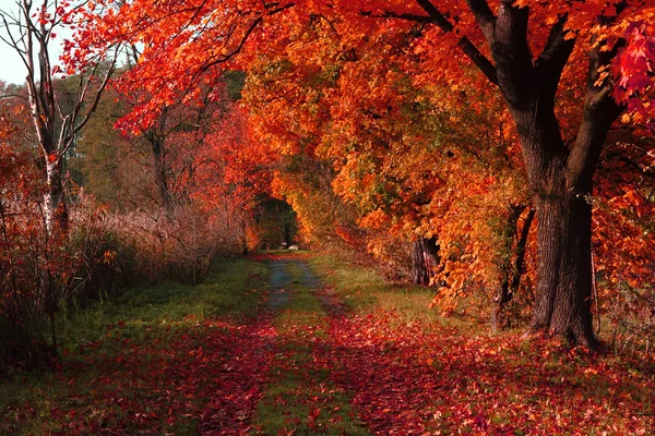 Checo color otoño país —  Fotos de Stock