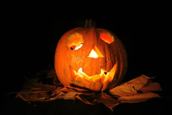 Halloween pumkin with light — Stock Photo, Image