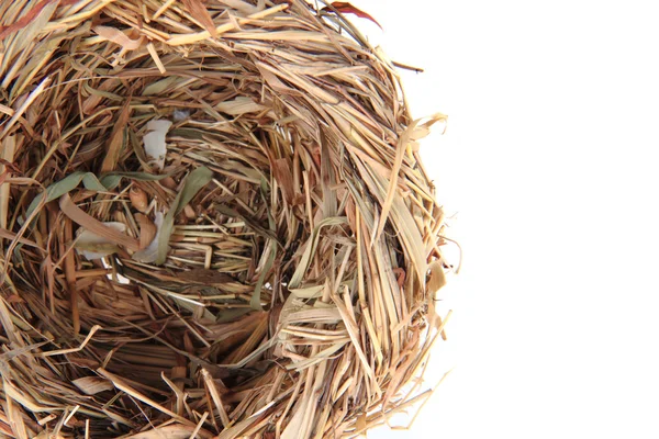 Small straw nestle — Stock Photo, Image
