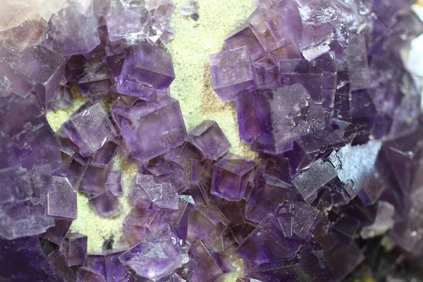 Cubetti di fluorite viola — Foto Stock