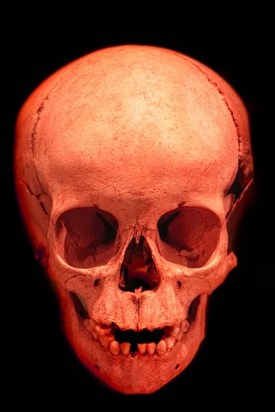 Cráneo humano en la oscuridad —  Fotos de Stock