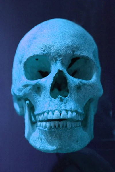 暗闇の中で人間の頭蓋骨 — ストック写真