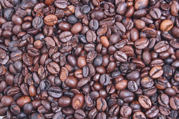 Coffea beans texture — Stock Photo, Image