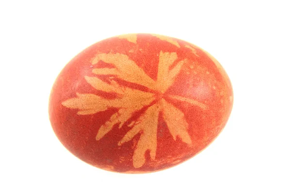 Egg colored by plants and onion — Stock Photo, Image