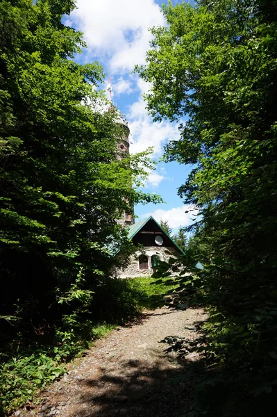 Aussichtsturm zlaty chlum in jeseniky mountain — Stockfoto