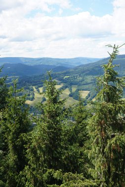 Jeseniky dağlar manzara