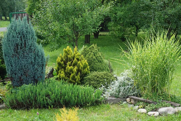 Kleiner grüner Garten — Stockfoto