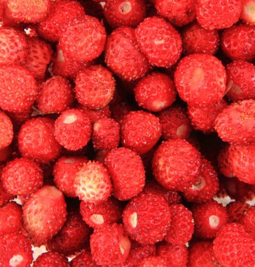 taze çilek kırmızı arka plan