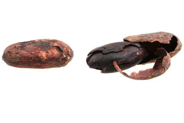 Свіжі какао-бобів — стокове фото