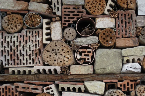 Detail of insect hotel house — Stock Photo, Image