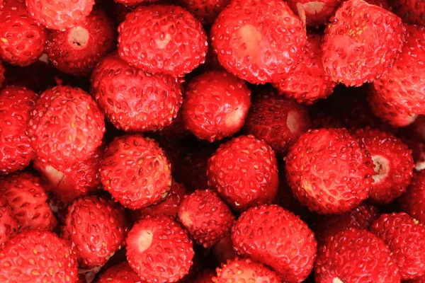 Frische rote Erdbeeren Hintergrund — Stockfoto