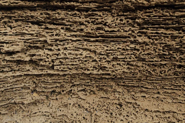 Textura de arenito velho pelo mar — Fotografia de Stock