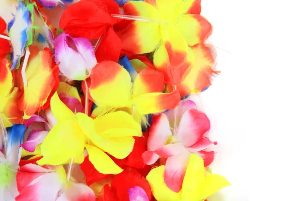 Cor plástico hawaii flores fundo — Fotografia de Stock