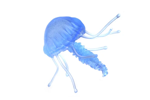 Изолированные голубые медузы — стоковое фото