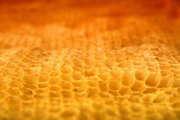 Textura de cera de abeja —  Fotos de Stock