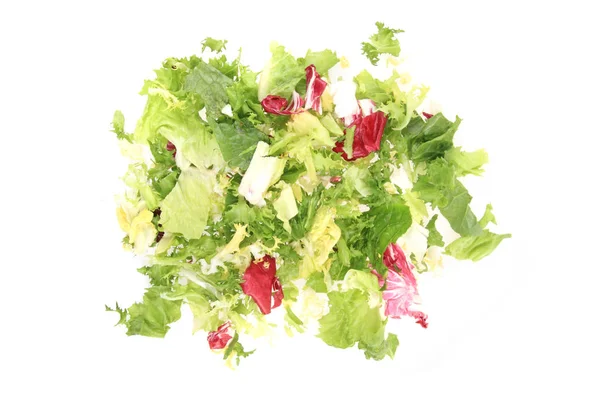 Salat mit frischer Farbe — Stockfoto