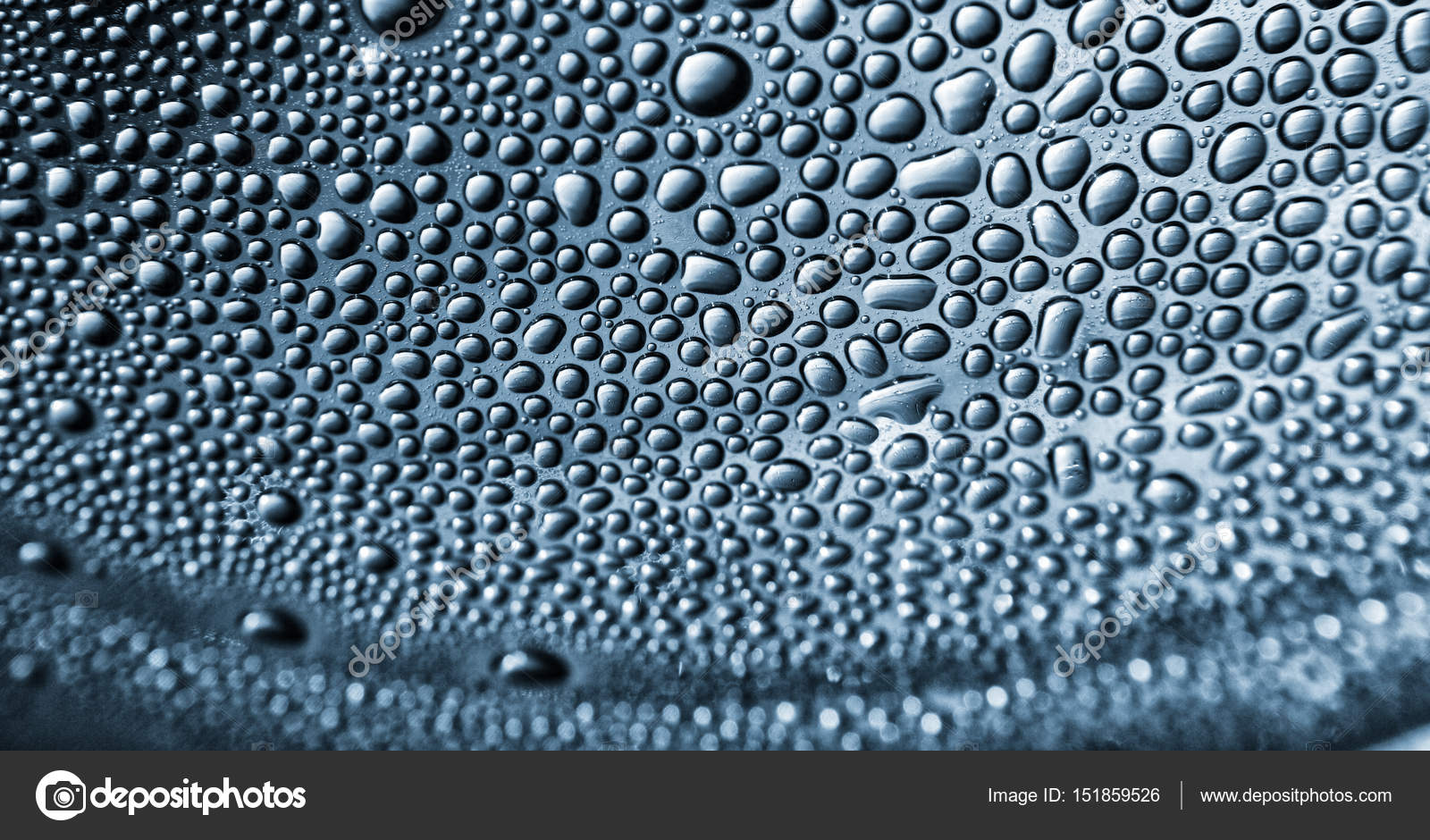 water drops texture stock