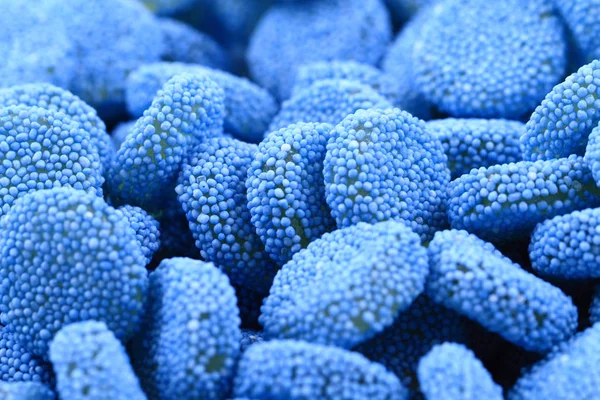 Geléia azul gumdrop fundo doce — Fotografia de Stock